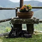 Il Frutteto Natura A Relax *