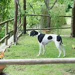 Il Frutteto Natura A Relax Ferienhaus