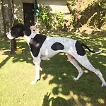 Ferienhaus Il Frutteto Natura A Relax *