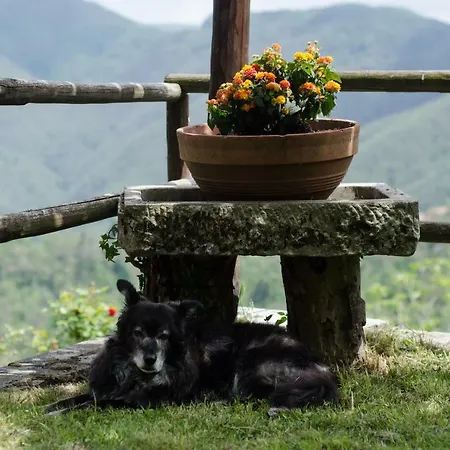 Il Frutteto Natura A Relax *