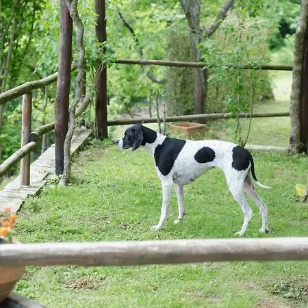 Il Frutteto Natura A Relax بيت للعطل