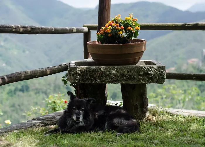 Il Frutteto Natura A Relax *